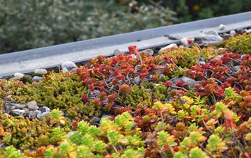 the cost of High Crompton green roof installation