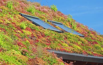 High Crompton living roof systems
